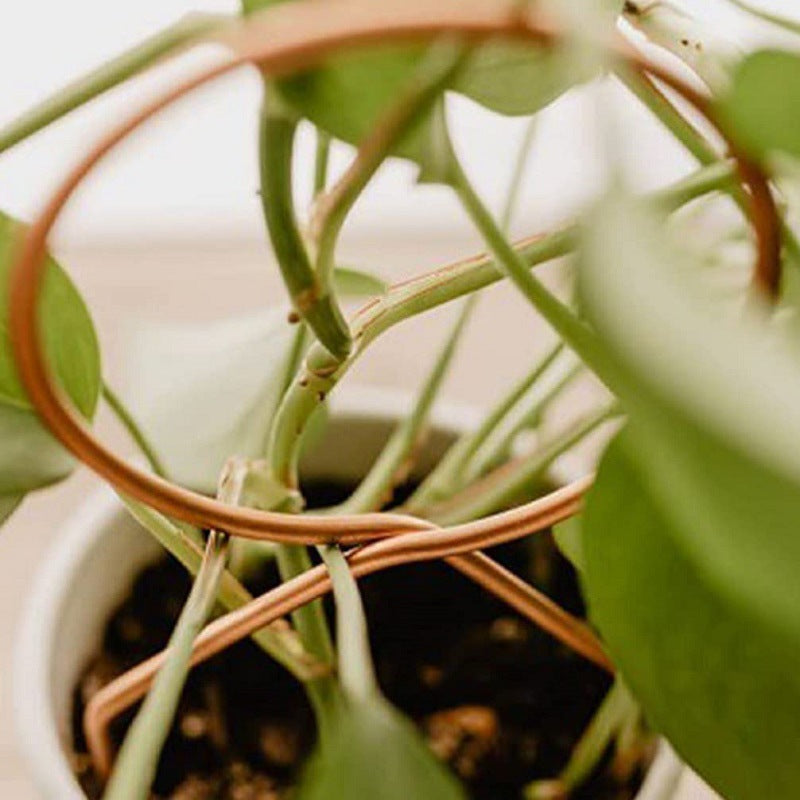 ミニトレリス 植物支柱 つる性植物用 観葉植物 植木鉢 園芸 商品画像4