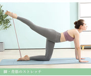 トレーニングチューブ エクササイズ フィットネス 筋トレ トレーニングゴムバンド 体幹 ストレッチチューブ ヨガ コアマッスル