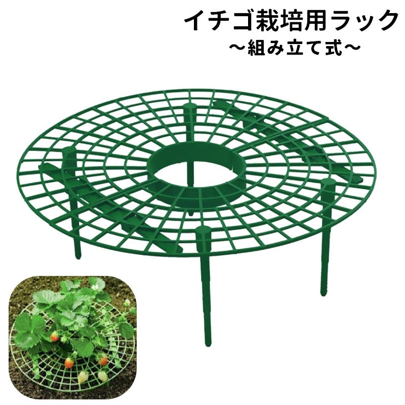 イチゴ栽培用ラック いちごスタンド イチゴ支え棚 いちご支柱 ストロベリーサポート 誘引作業 商品画像