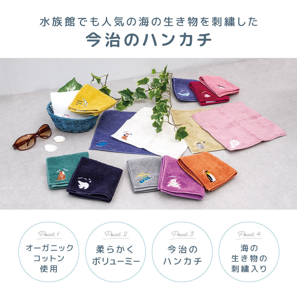 今治タオル ハンカチ タオルハンカチ ミニタオル Zootto 日本製 商品画像3