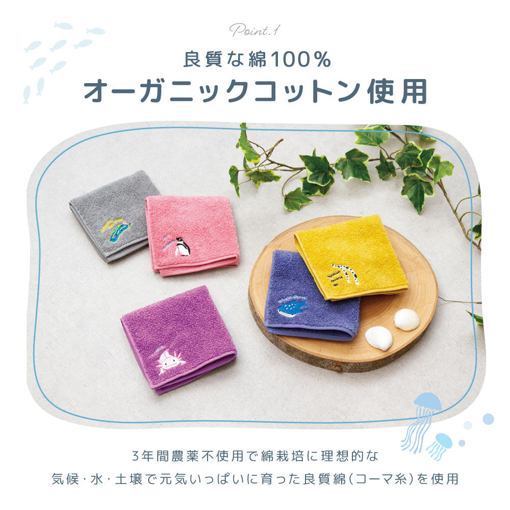 今治タオル ハンカチ タオルハンカチ ミニタオル Zootto 日本製 商品画像4