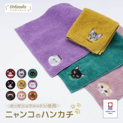今治タオル タオルハンカチ ハンドタオル ミニタオル はんかち 25cm 商品画像