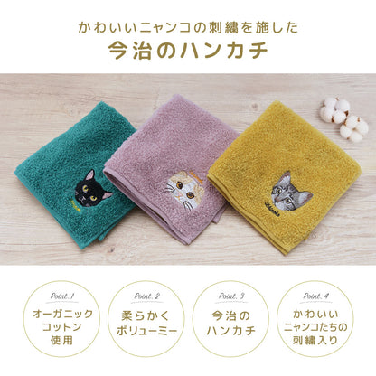 今治タオル タオルハンカチ ハンドタオル ミニタオル はんかち 25cm 商品画像2
