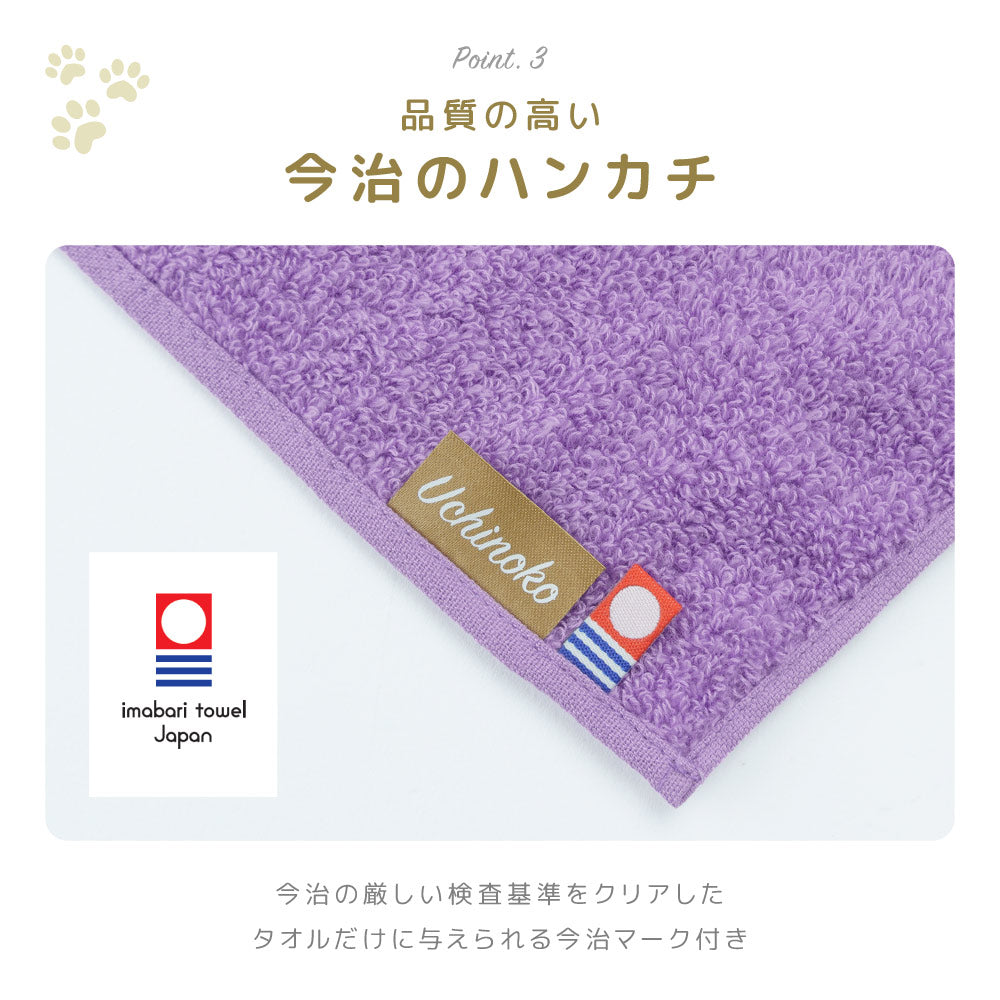 今治タオル タオルハンカチ ハンドタオル ミニタオル はんかち 25cm 商品画像5