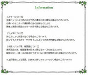 海外セレブ愛用 ボディーネックレス ゴールドチェーン パール付き シンプル ウエストチェーン ベリーチェーン ボディーチェーン アクセサリー レディース